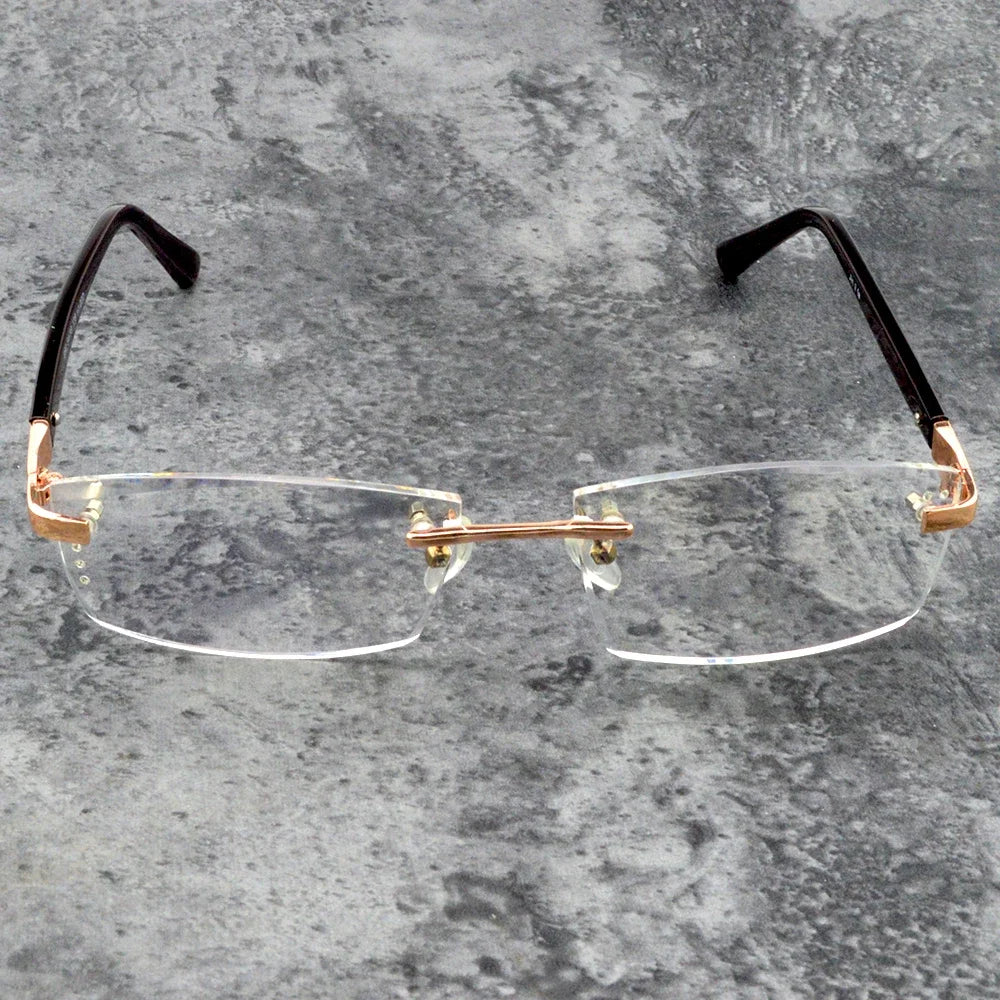 Blake™ | Titanium Elegance Glasses